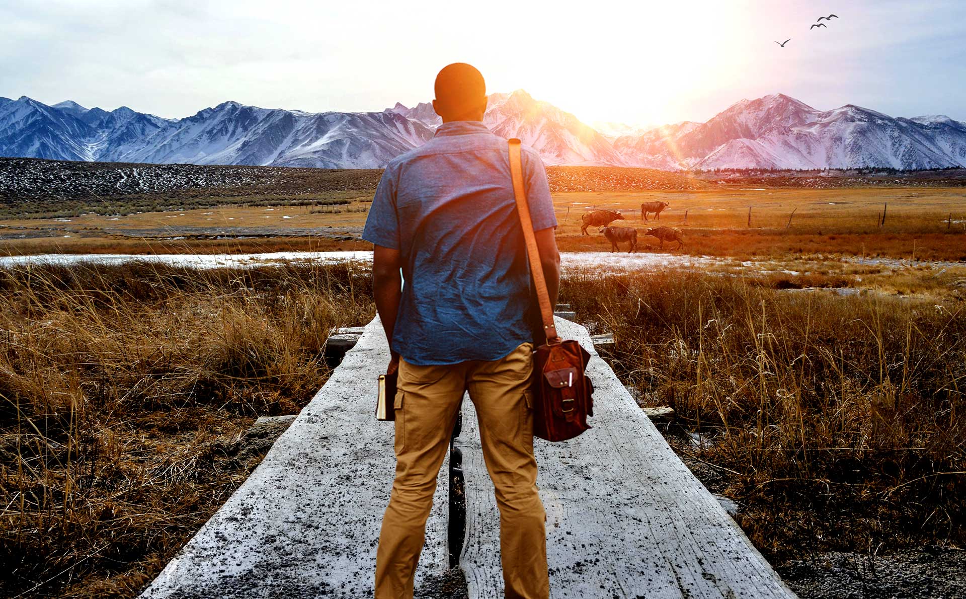 Embrace Alternative Investments Blog Post Image | Aluma Capital (Pty) Ltd