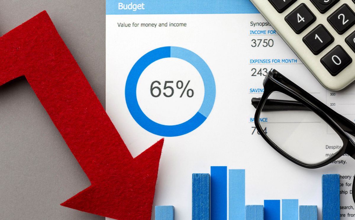 Charts Of Budget Data | Aluma Capital (Pty) Ltd